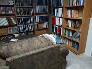Cat hiding in a bookshelf